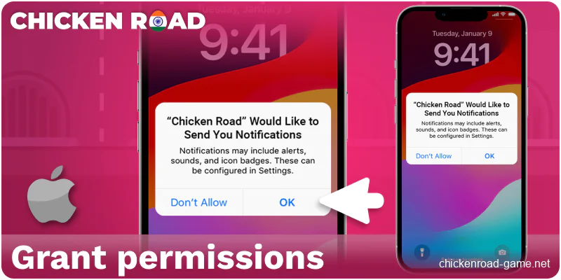 Grant permissions for Chicken Road IN